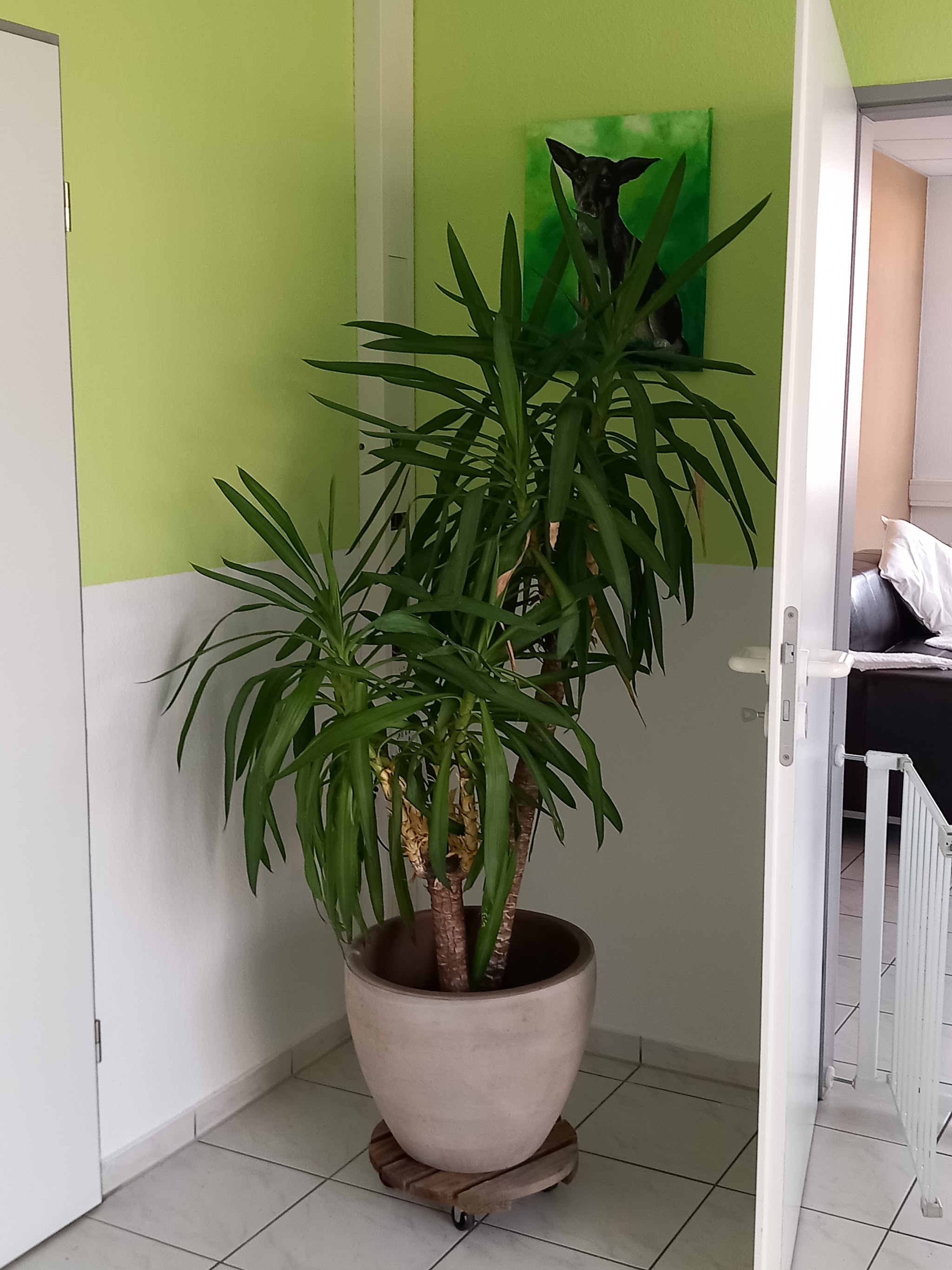 Gemütlicher, grün gestalteter Eingangsbereich mit Hundeporträt an der Wand